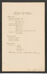 k.k. naturhistorisches Hofmuseum, Intendanzakten 1885-1896 (Hauer), Aktenzahl Z.263.c/1889, Seite 23